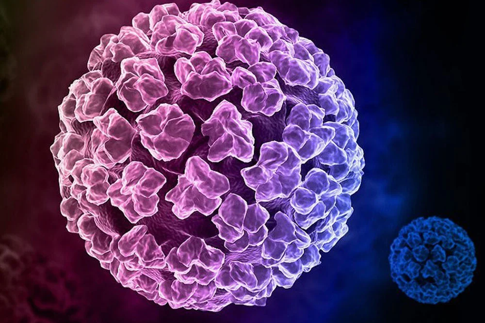 medpadiag-xet-nghiem-hpv-genotype