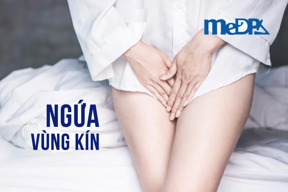 medpadiag-ngua-vung-kin