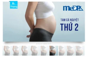 medpadiag-tam-ca-nguyet-thu-2