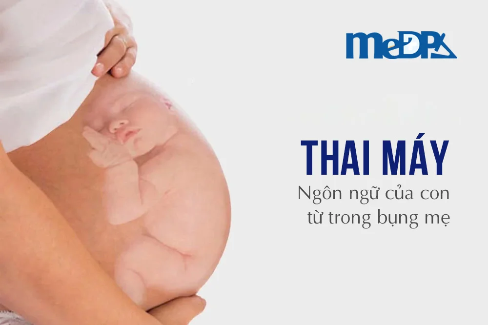 medpadiag-thai-may-trong-thai-ky