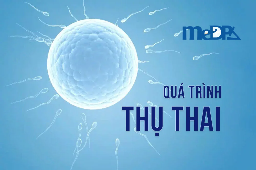 medpadiag-thu-thai-la-gi