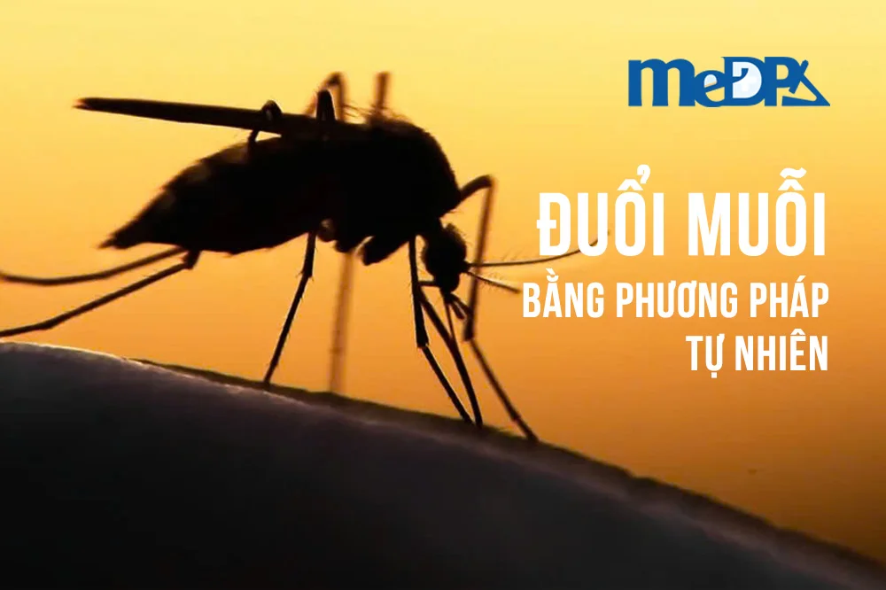 Medpadiag-cach-duoi-muoi-tu-nhien
