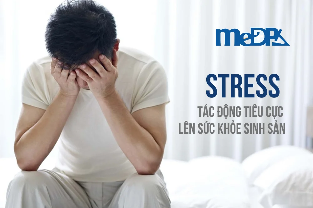 stress-anh-huong-den-suc-khoe-sinh-san