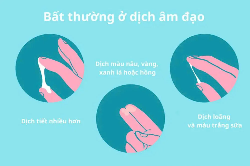 medpadia-dat-thuoc-phu-khoa-tai-nha