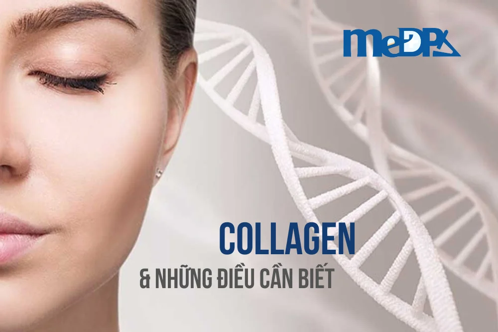 medpadiag-cac-dang-collagen