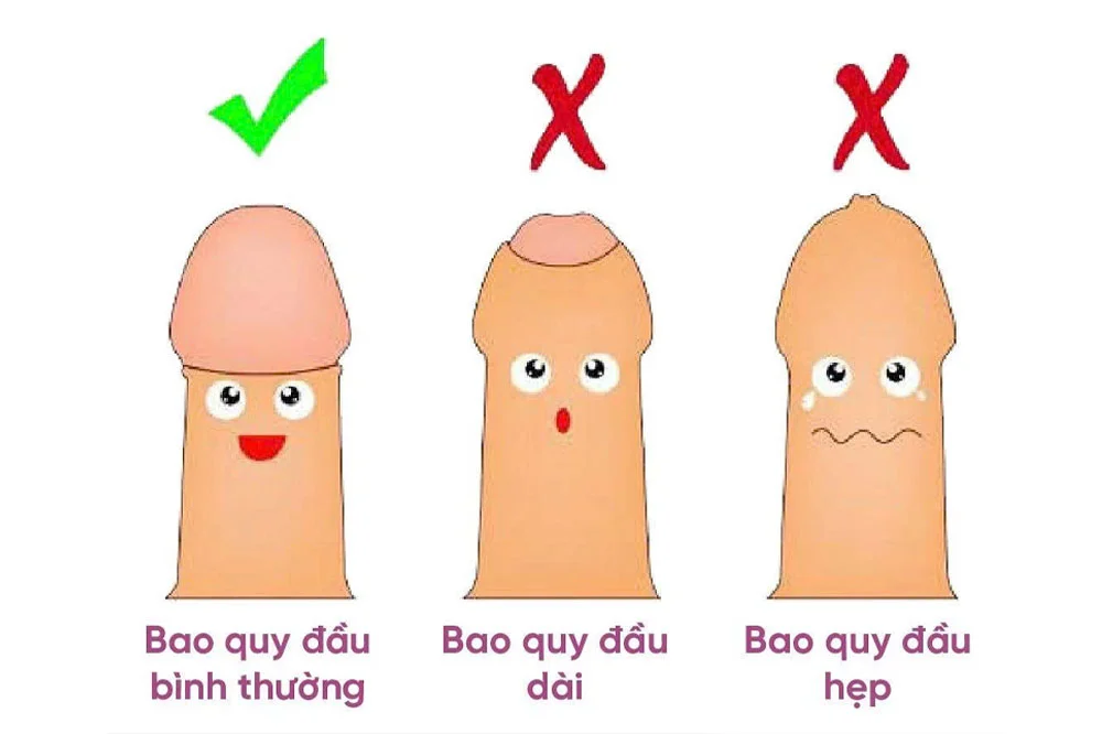 medpadiag-cat-bao-quy-dau