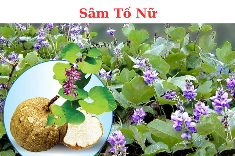 medpadiag-sam-to-nu-lam-dep-nu-gioi