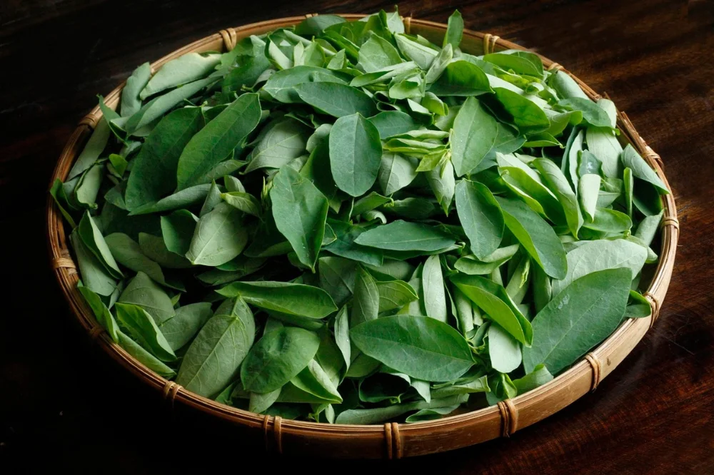 medpadiag-an-gi-de-tranh-thai