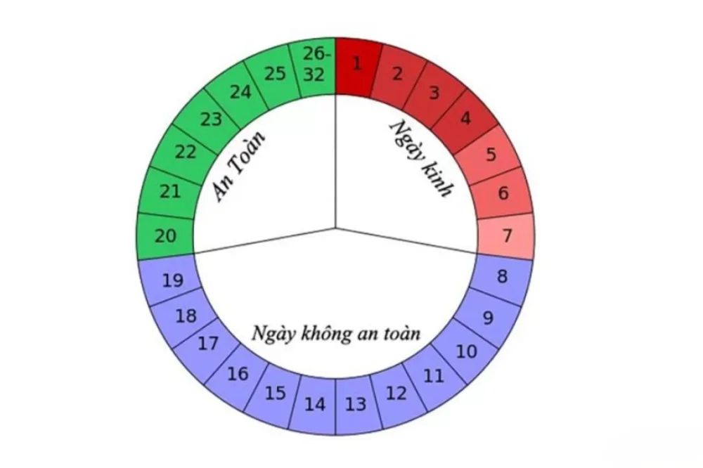 medpadiag-chu-ky-kinh-nguyet-tinh-ngay-de-mang-bau-3.webp