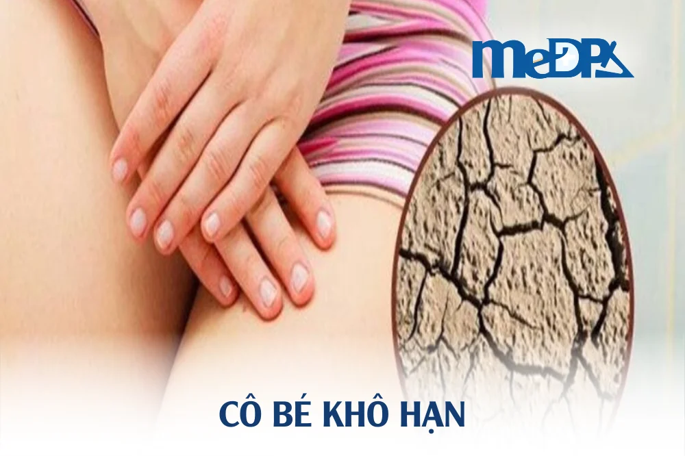 medpadiag-co-be-kho-han