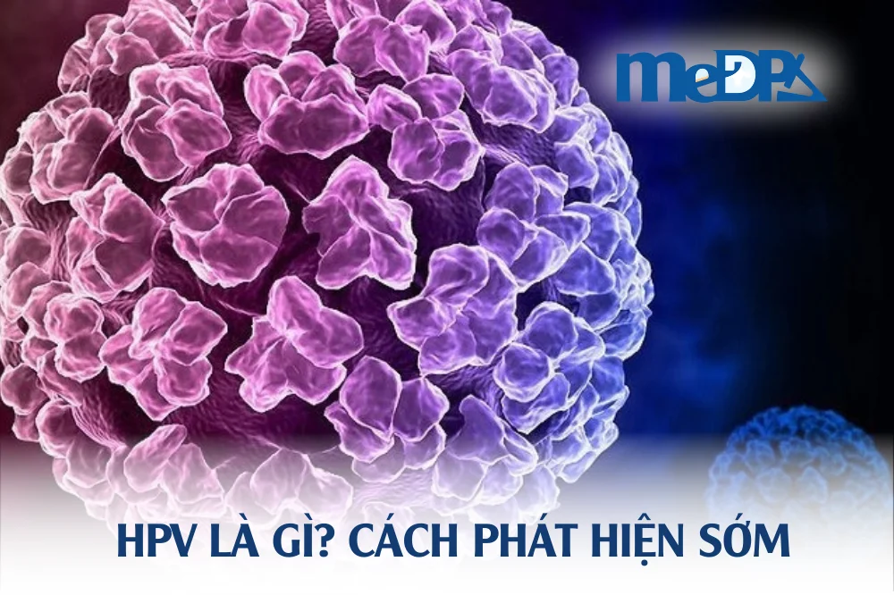 medpadiag-hpv-la-gi-xet-nghiem-hpv