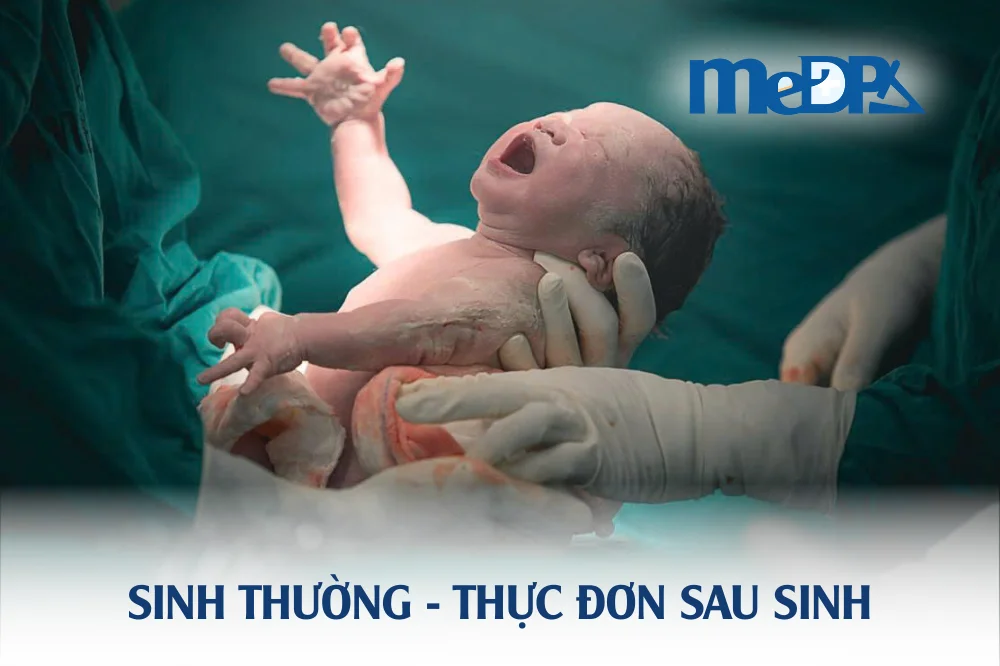 medpadiag-sinh-thuong-che-do-an-cho-me-o-cu