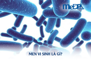 medpadiag-men-vi-sinh